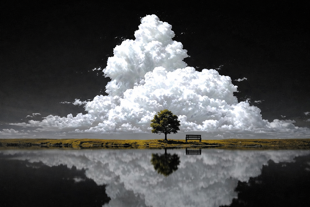 Ángel Monroy García - La arista de la coherencia